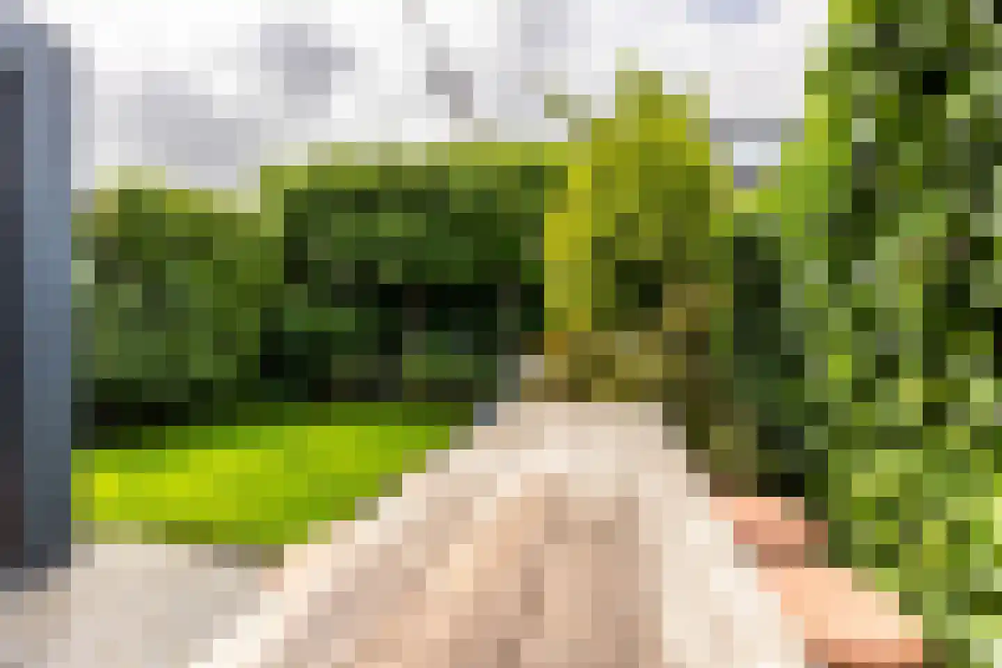 Wilgenblad 10 Oostvoorne thumbnail 30