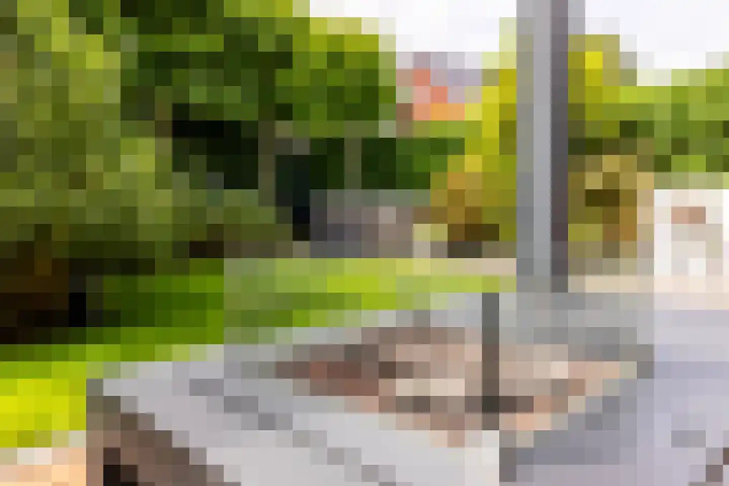 Wilgenblad 10 Oostvoorne thumbnail 32
