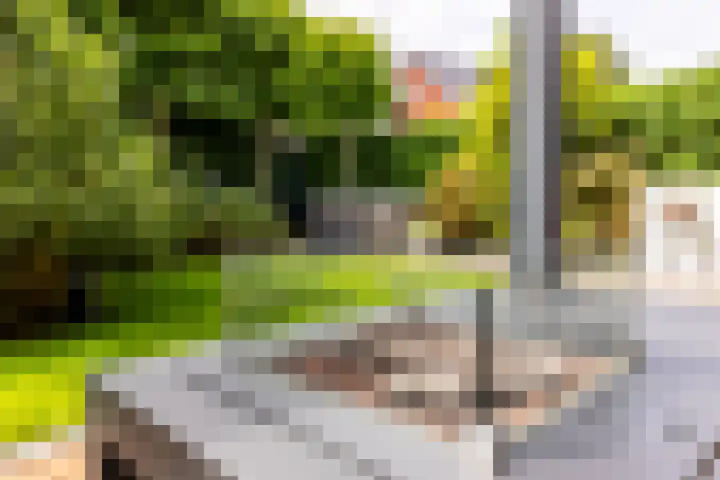 Wilgenblad 10 Oostvoorne thumbnail 32