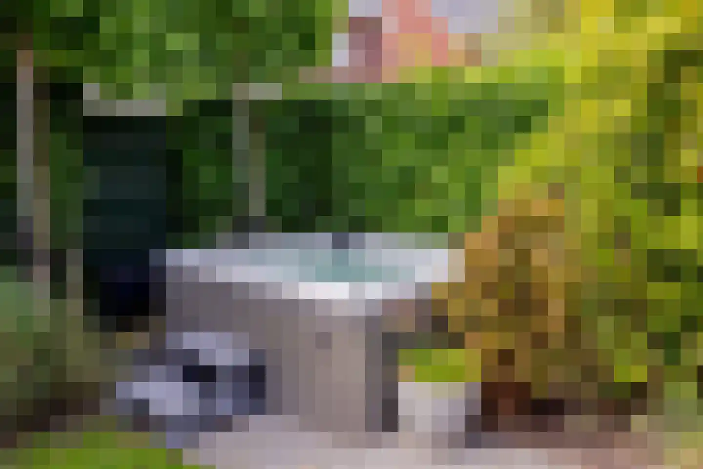 Wilgenblad 10 Oostvoorne thumbnail 33