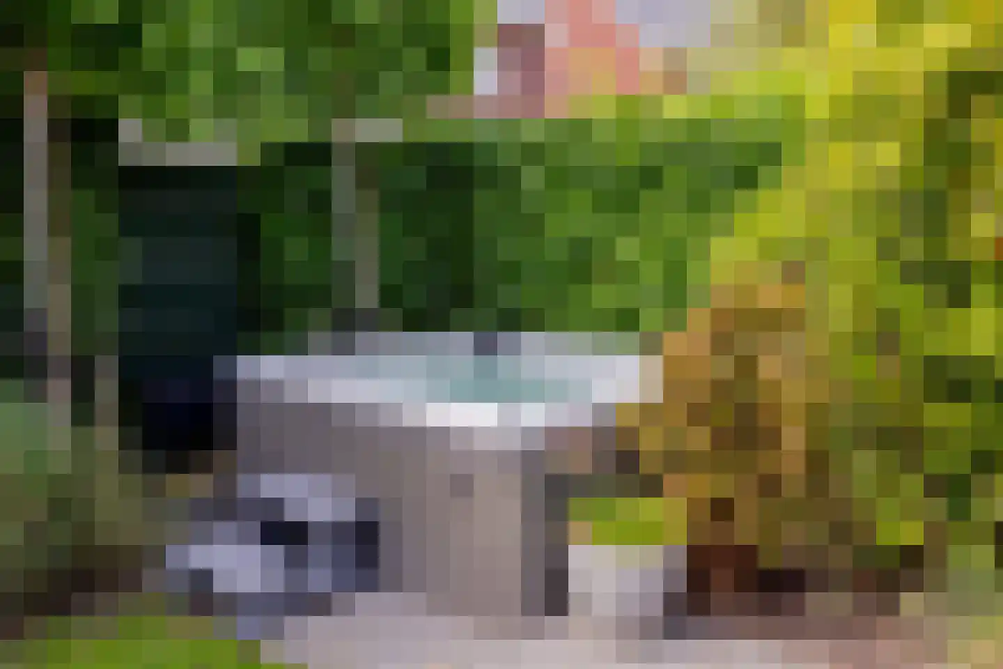 Wilgenblad 10 Oostvoorne thumbnail 33
