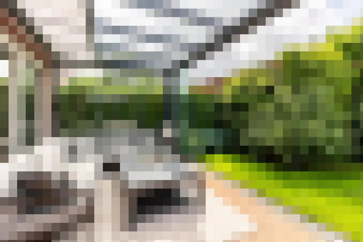Wilgenblad 10 Oostvoorne thumbnail 34