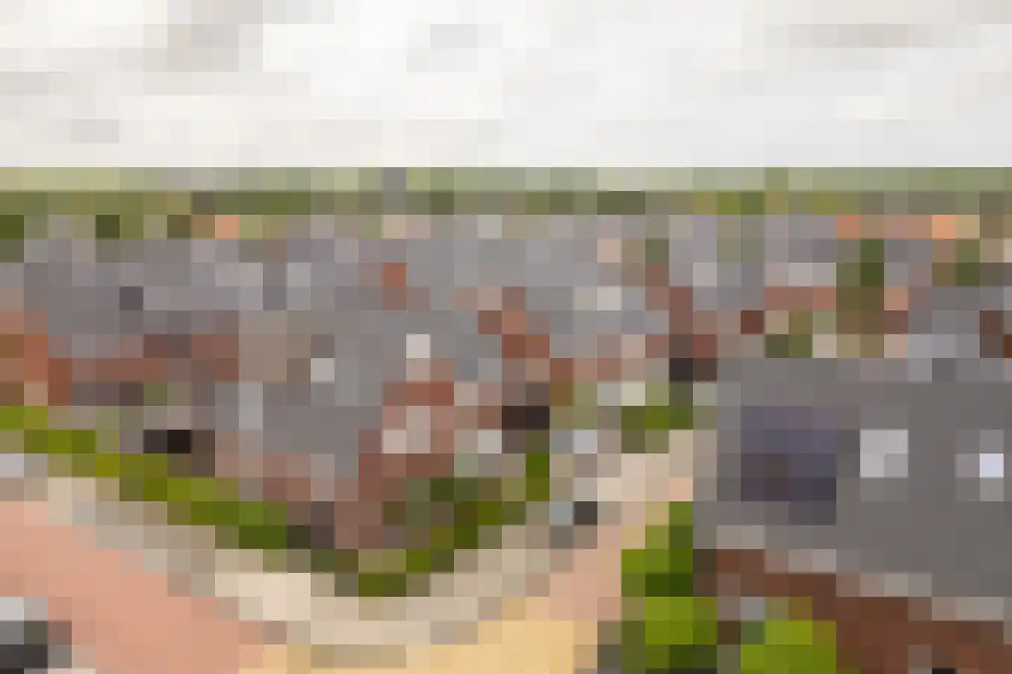 Wilgenblad 10 Oostvoorne thumbnail 39