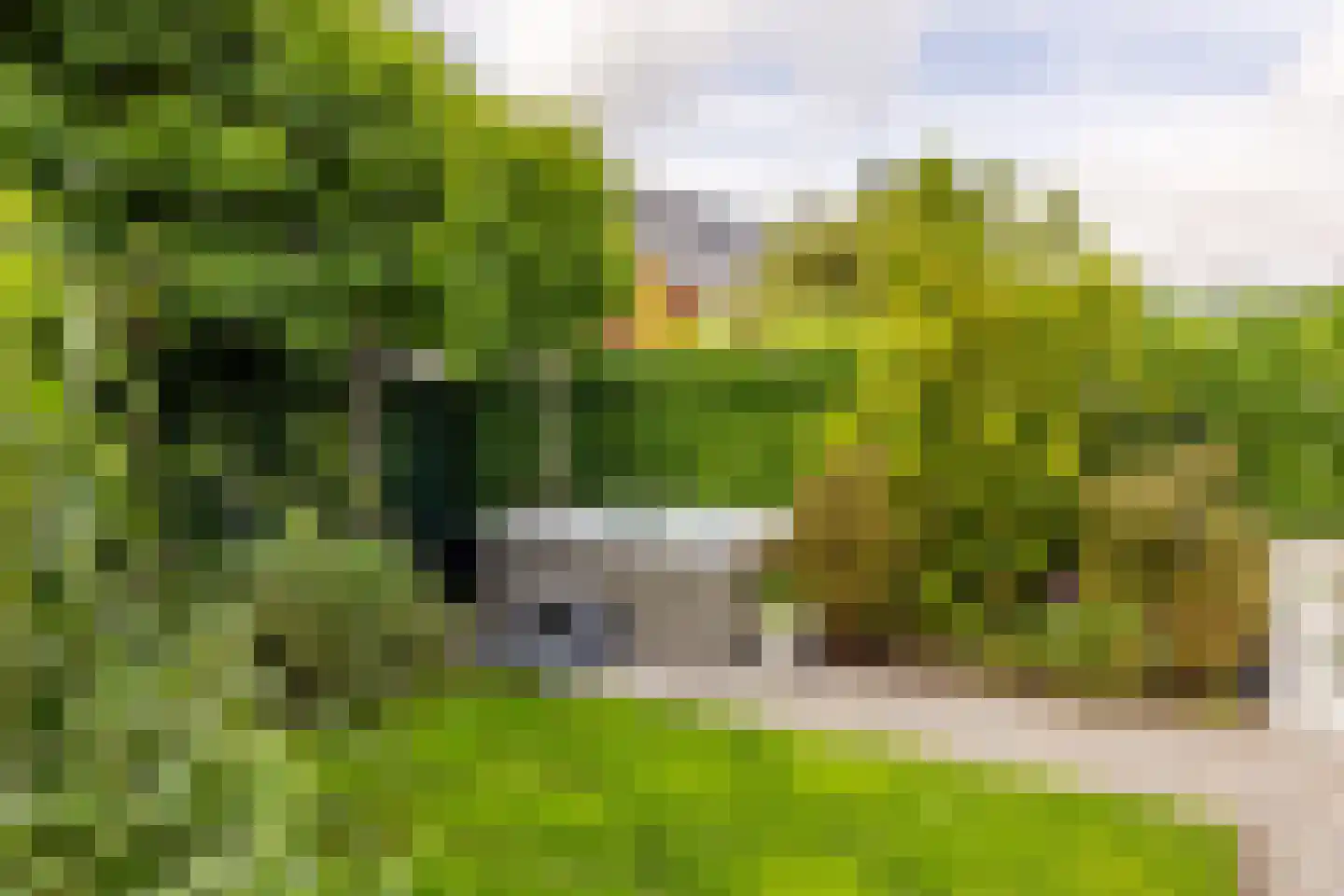 Wilgenblad 10 Oostvoorne thumbnail 4