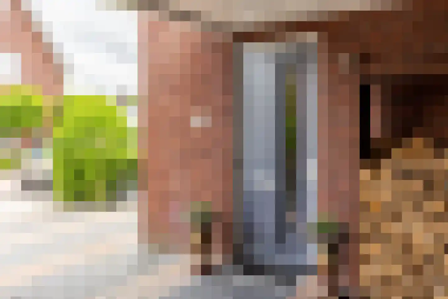 Wilgenblad 10 Oostvoorne thumbnail 7