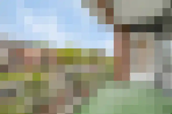 Wilgenblik 40 Soest thumbnail 17