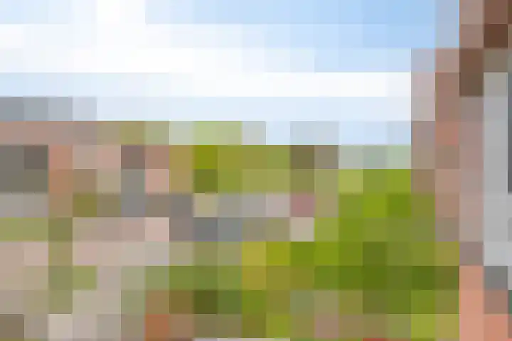 Wilgenblik 40 Soest thumbnail 18