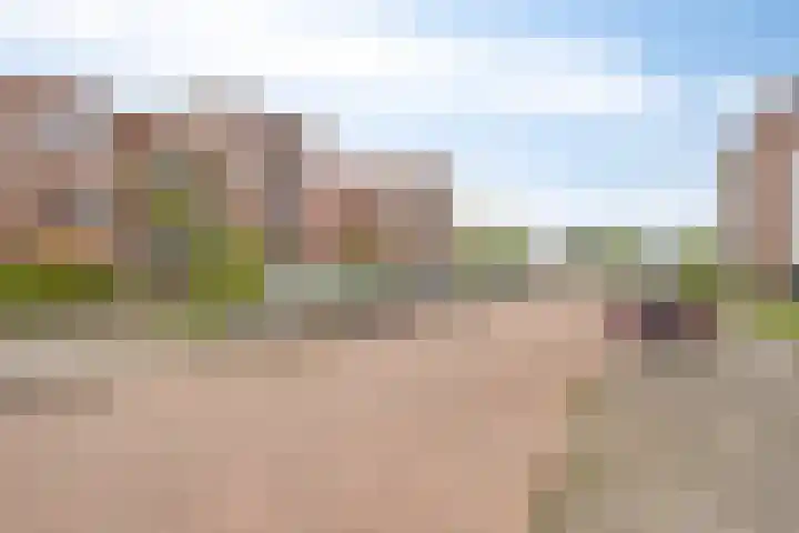Wilgenblik 40 Soest thumbnail 23