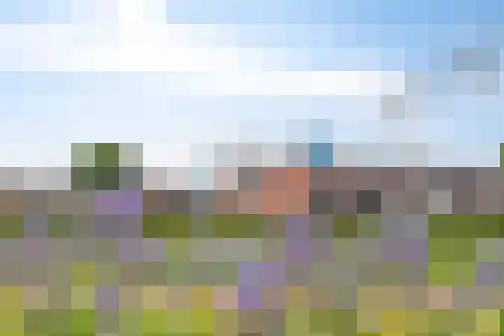 Wilgenblik 40 Soest thumbnail 24