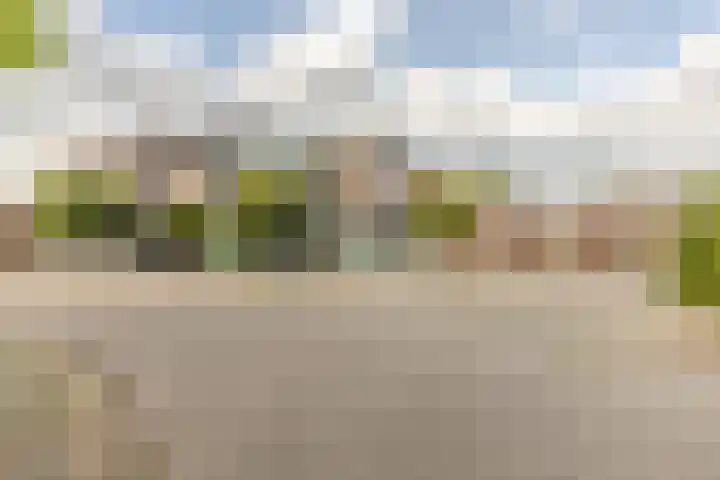 Wilgenbroek 59 Breda thumbnail 28