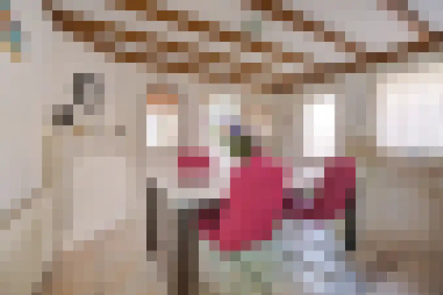 Wilgenburg 1 St. Willebrord thumbnail 14