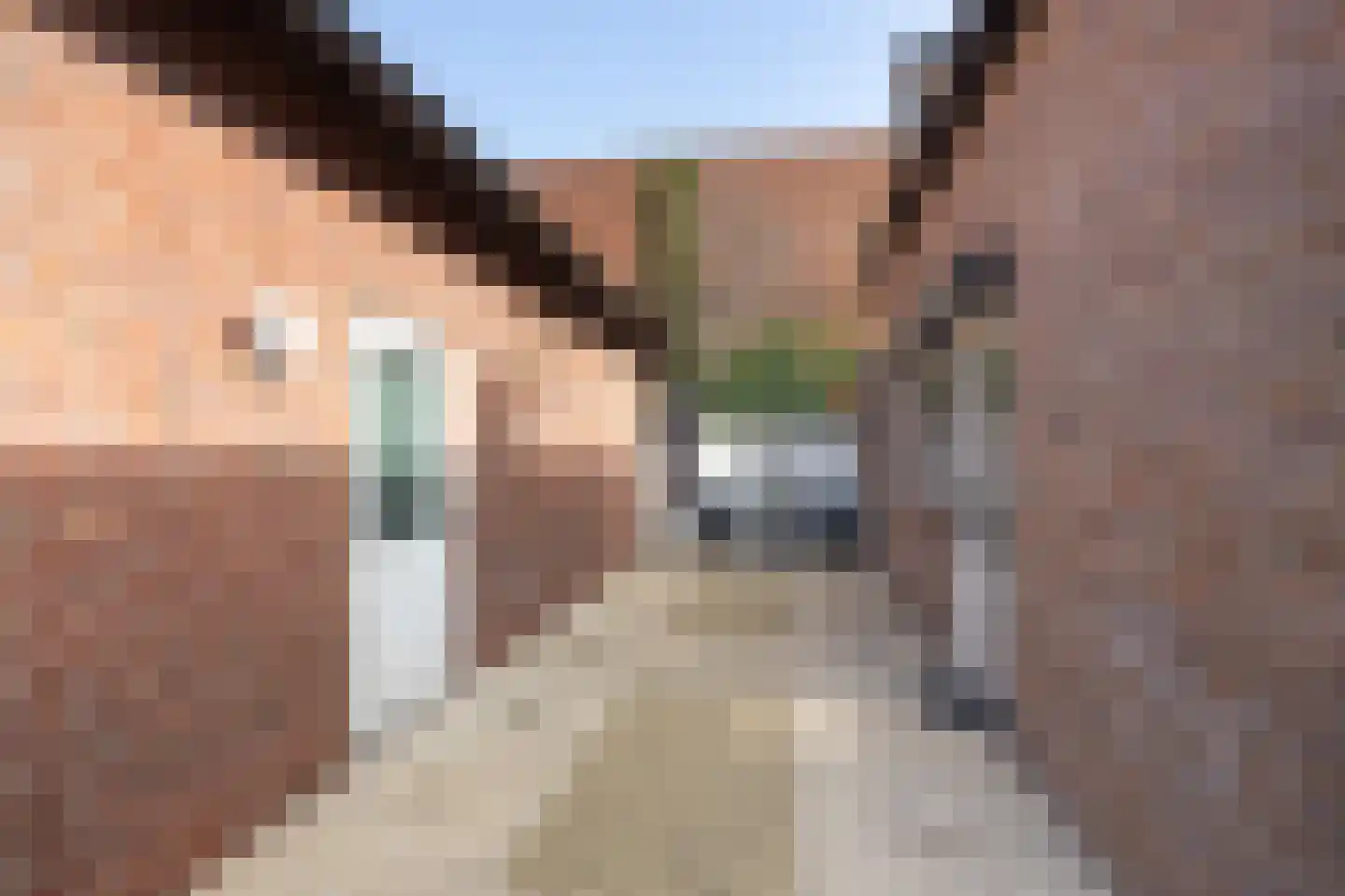 Wilgenburg 1 St. Willebrord thumbnail 34