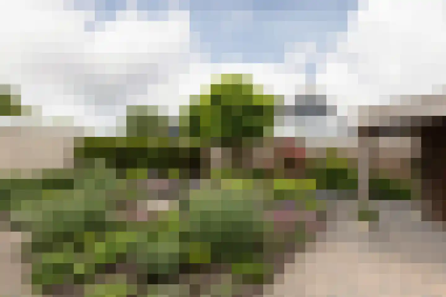 Wilgenburg 4 Bolsward thumbnail 31
