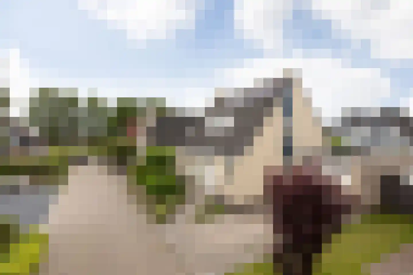 Wilgenburg 4 Bolsward thumbnail 35