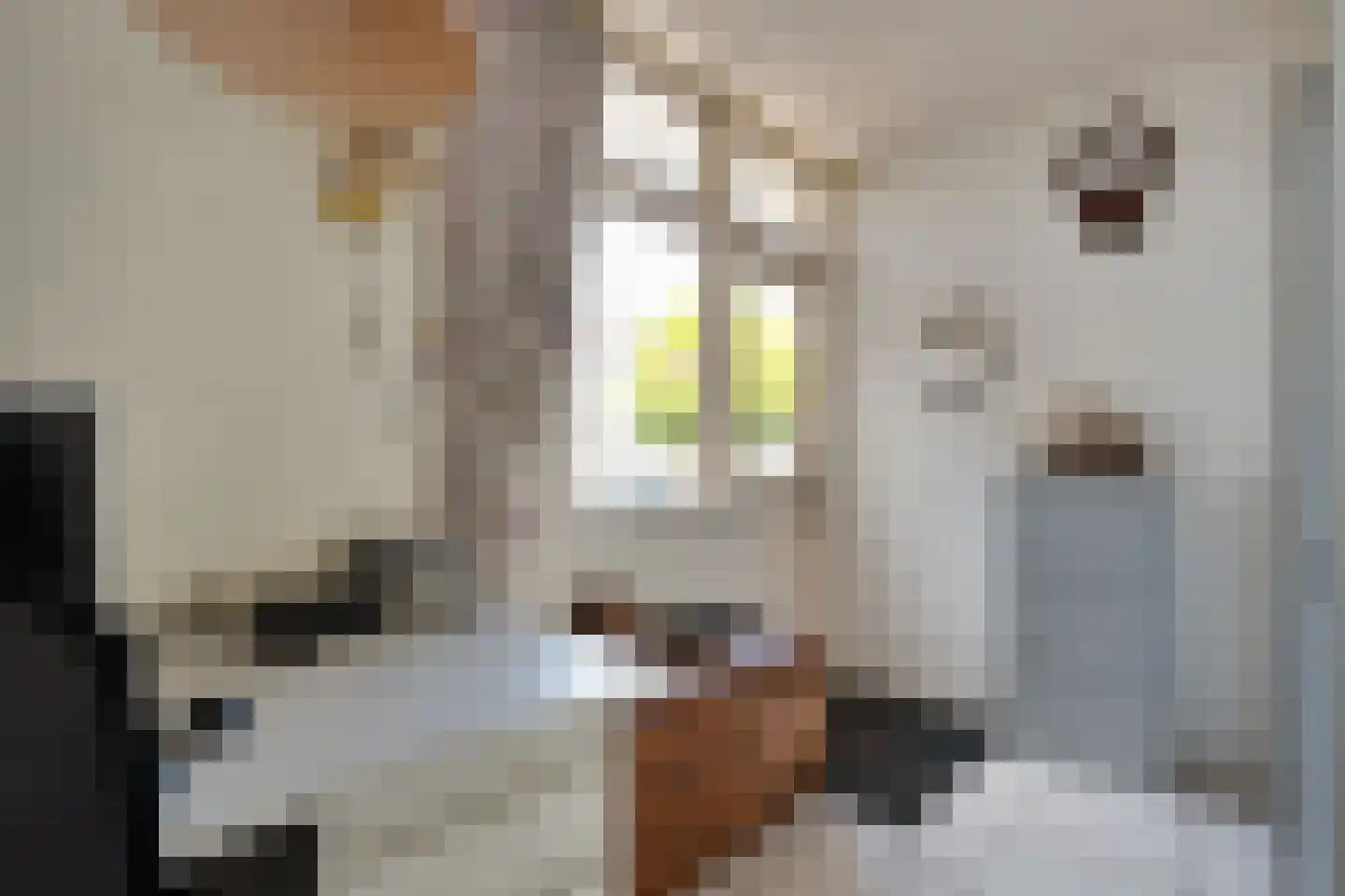 Wilgencamp 3 Hoogeveen thumbnail 17