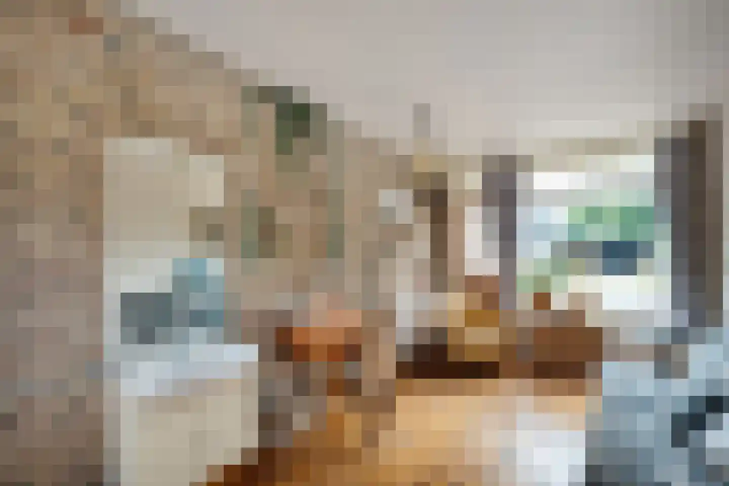 Wilgencamp 3 Hoogeveen thumbnail 27