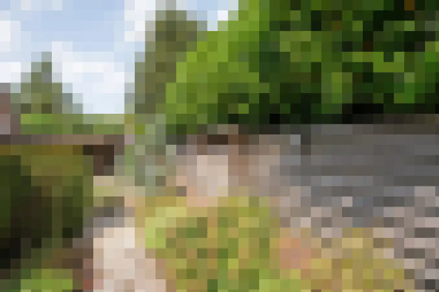 Wilgencamp 3 Hoogeveen thumbnail 39