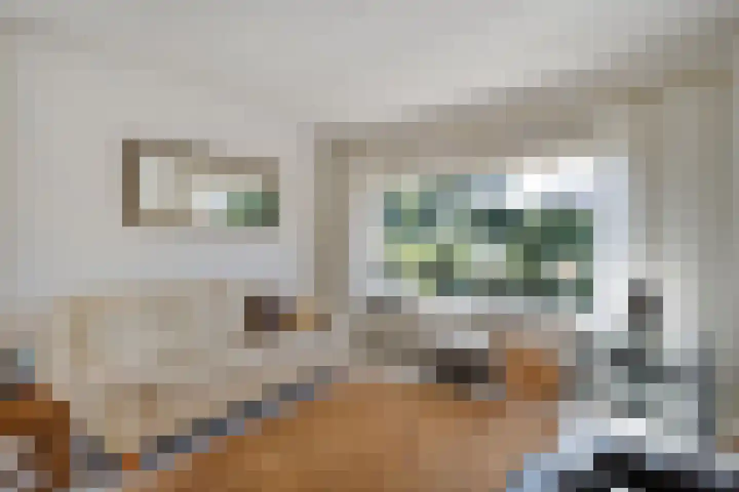Wilgencamp 3 Hoogeveen thumbnail 4