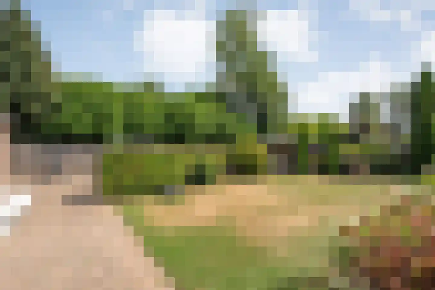 Wilgencamp 3 Hoogeveen thumbnail 45