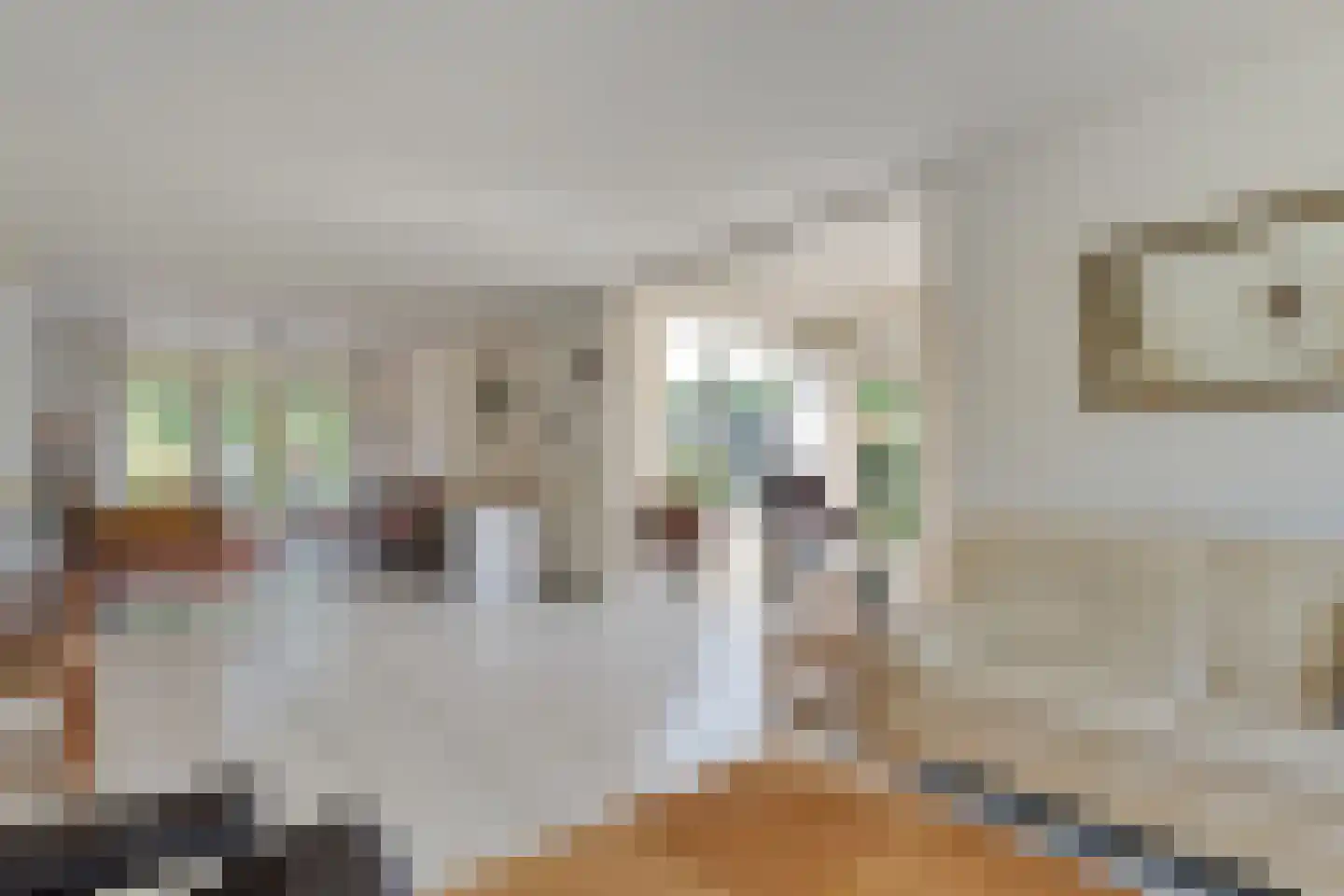 Wilgencamp 3 Hoogeveen thumbnail 5