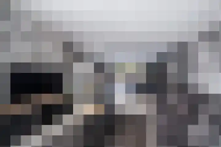 Wilgendal 23 Maassluis thumbnail 14
