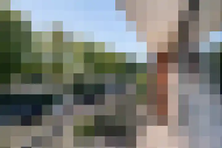 Wilgendal 23 Maassluis thumbnail 22