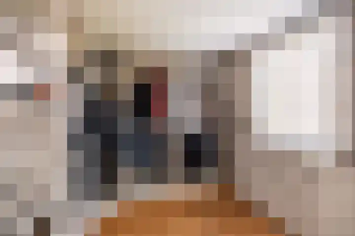 Wilgendal 23 Maassluis thumbnail 23
