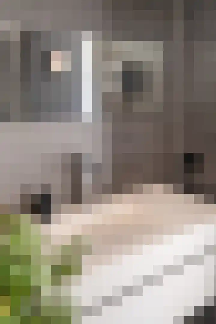 Wilgendal 23 Maassluis thumbnail 25