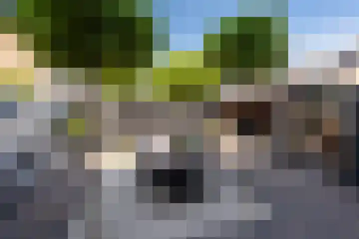 Wilgendal 23 Maassluis thumbnail 33