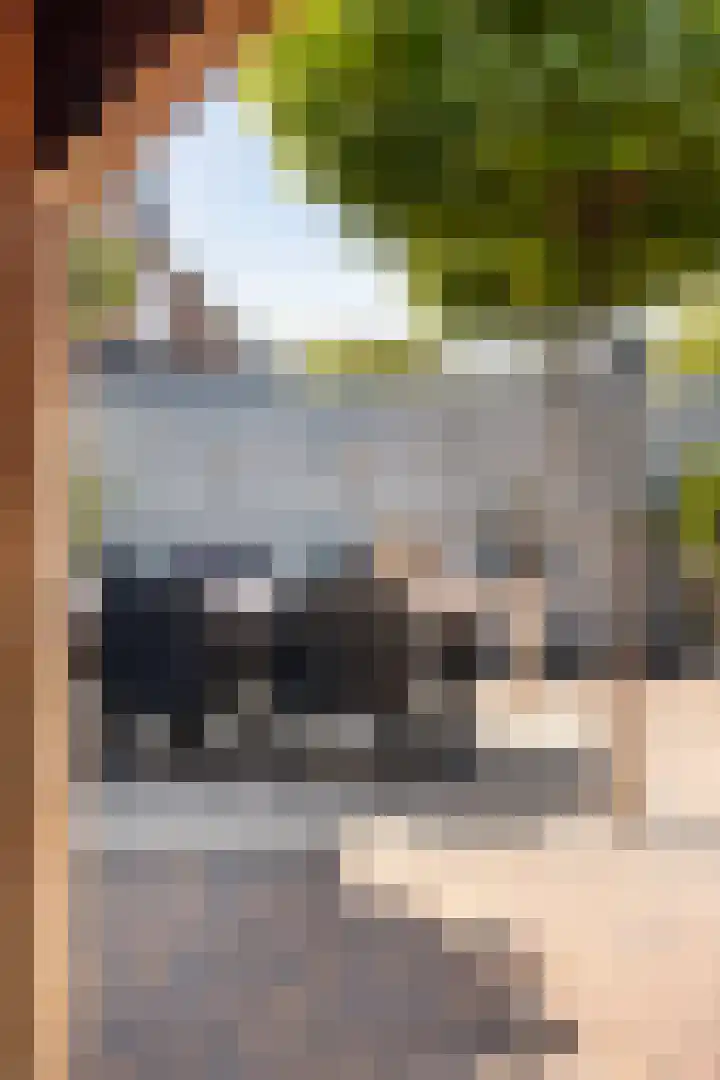 Wilgendal 23 Maassluis thumbnail 34