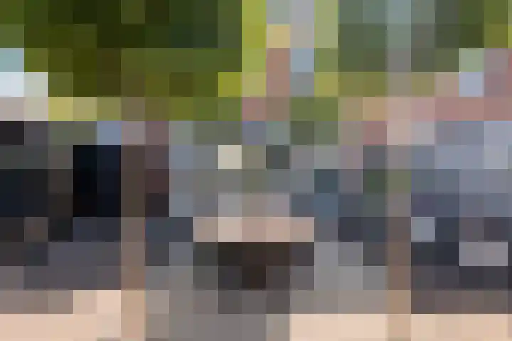Wilgendal 23 Maassluis thumbnail 35