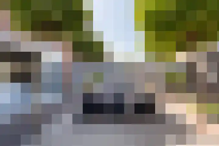 Wilgendal 23 Maassluis thumbnail 36