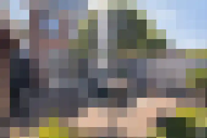 Wilgendal 23 Maassluis thumbnail 39