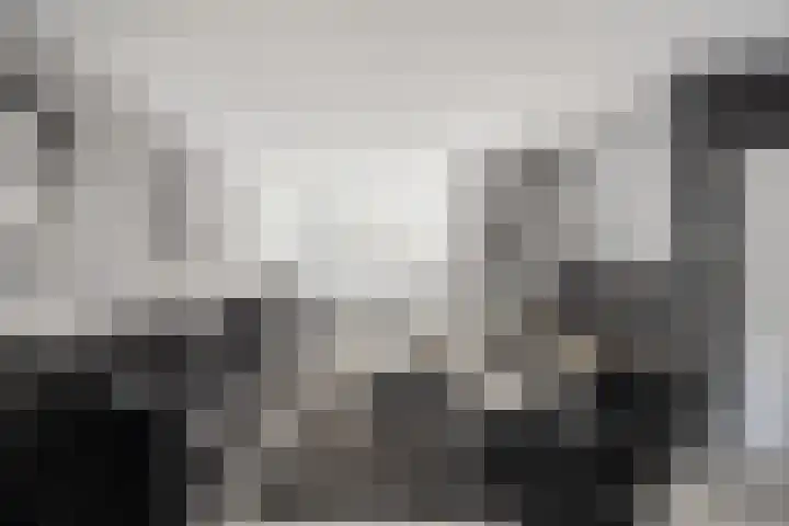 Wilgendal 23 Maassluis thumbnail 5
