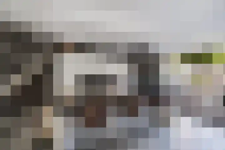 Wilgendal 23 Maassluis thumbnail 7