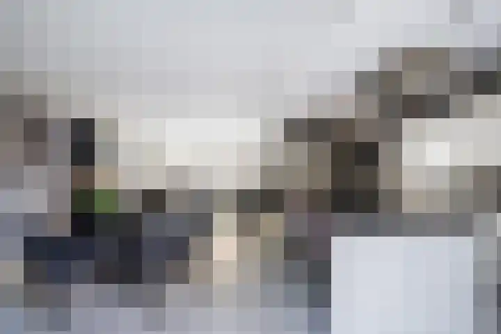 Wilgendal 23 Maassluis thumbnail 9
