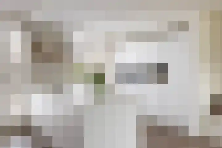 Wilgendal 53 Maassluis thumbnail 11