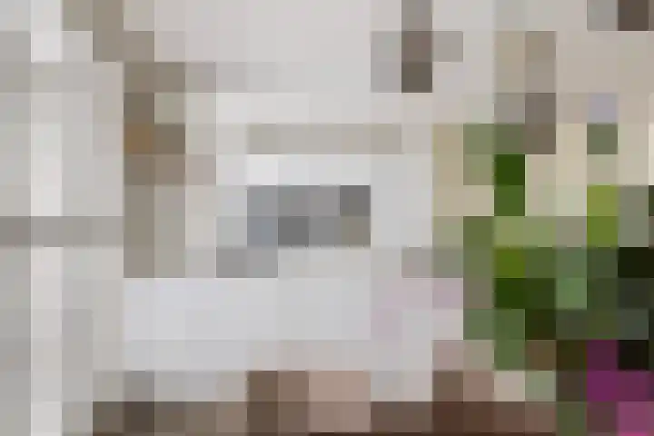Wilgendal 53 Maassluis thumbnail 12