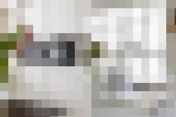 Wilgendal 53 Maassluis thumbnail 15