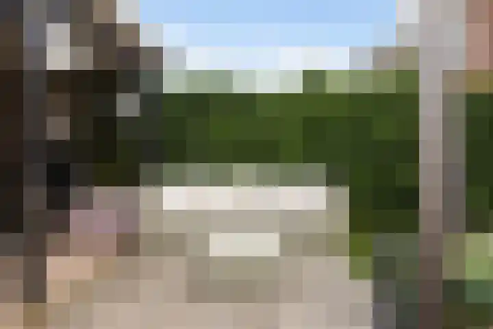 Wilgendal 53 Maassluis thumbnail 21
