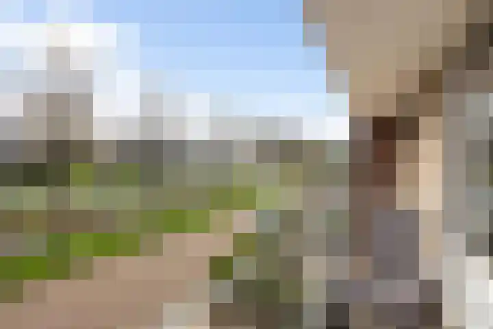 Wilgendal 53 Maassluis thumbnail 33