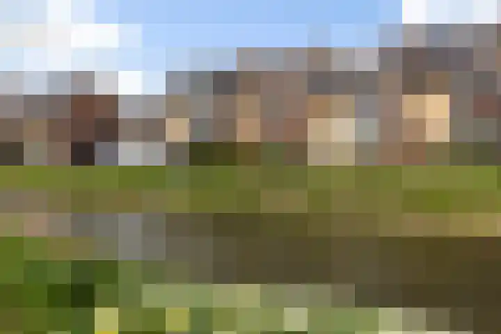 Wilgendal 53 Maassluis thumbnail 47