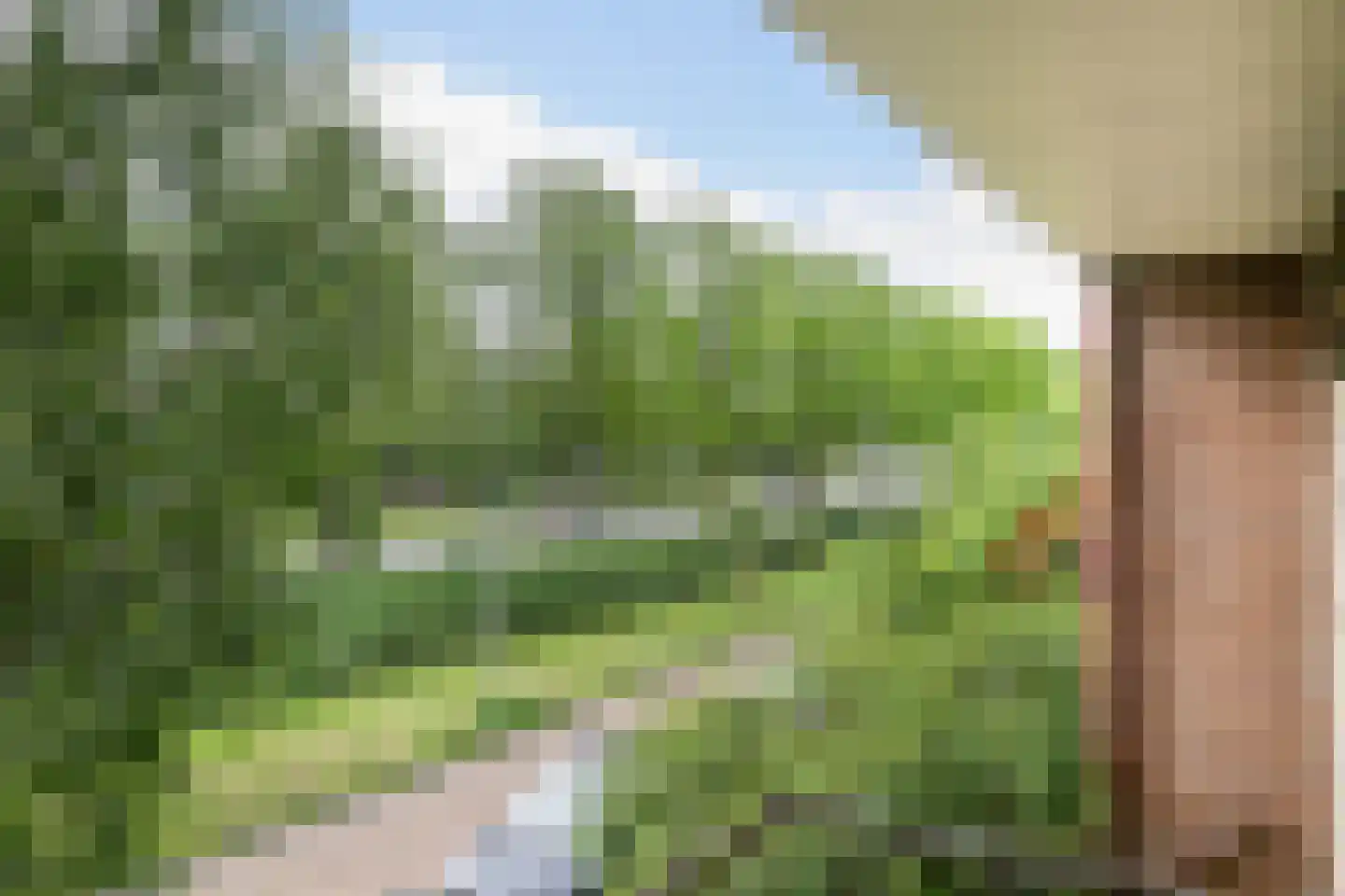 Wilgendal 59 Maassluis thumbnail 25