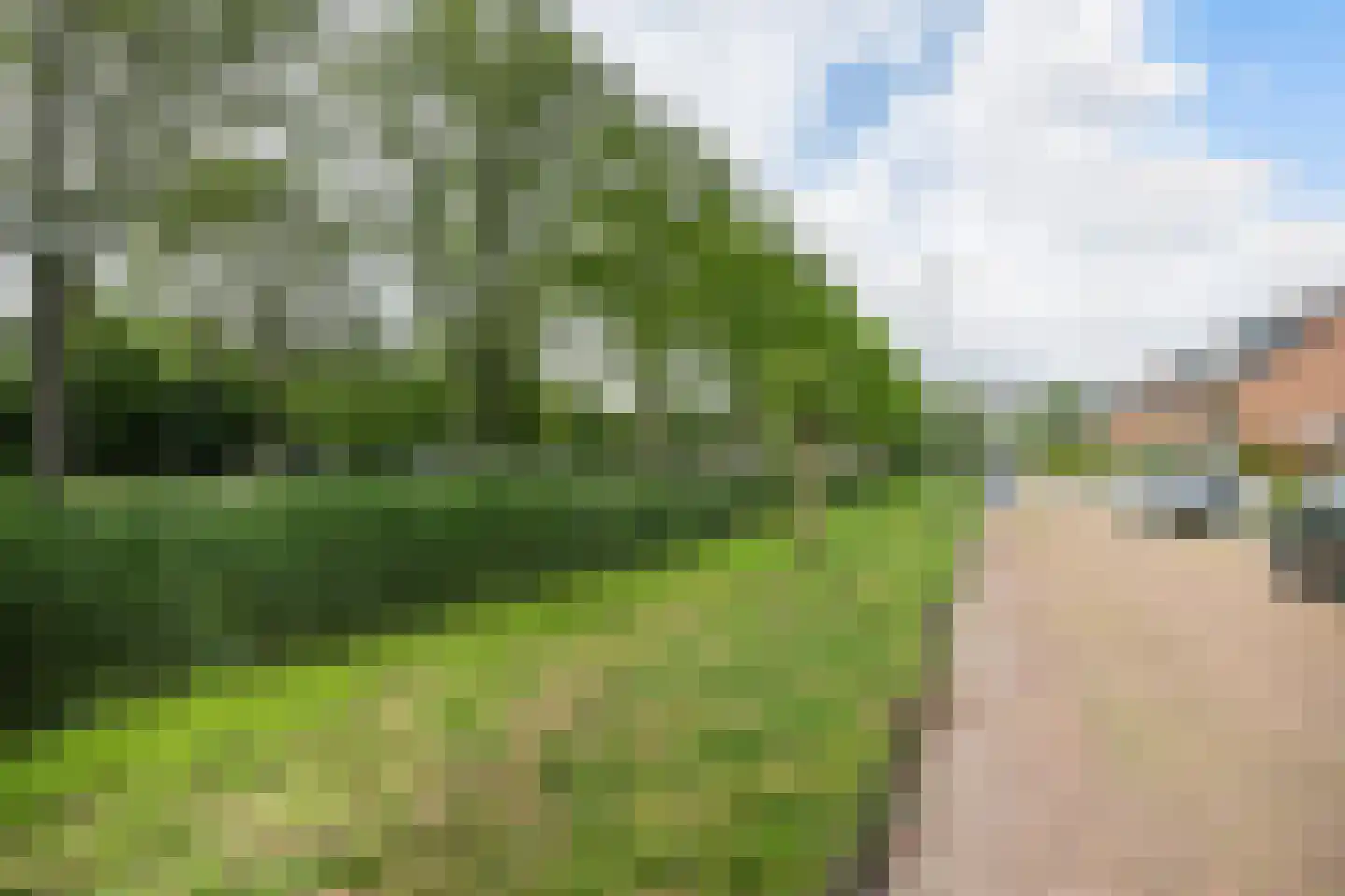 Wilgendal 59 Maassluis thumbnail 43