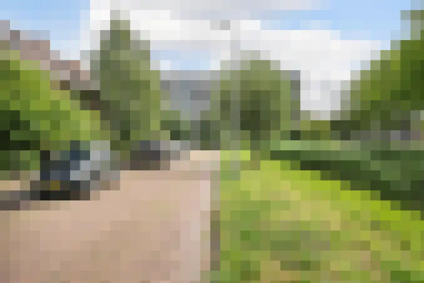 Wilgendal 59 Maassluis thumbnail 44