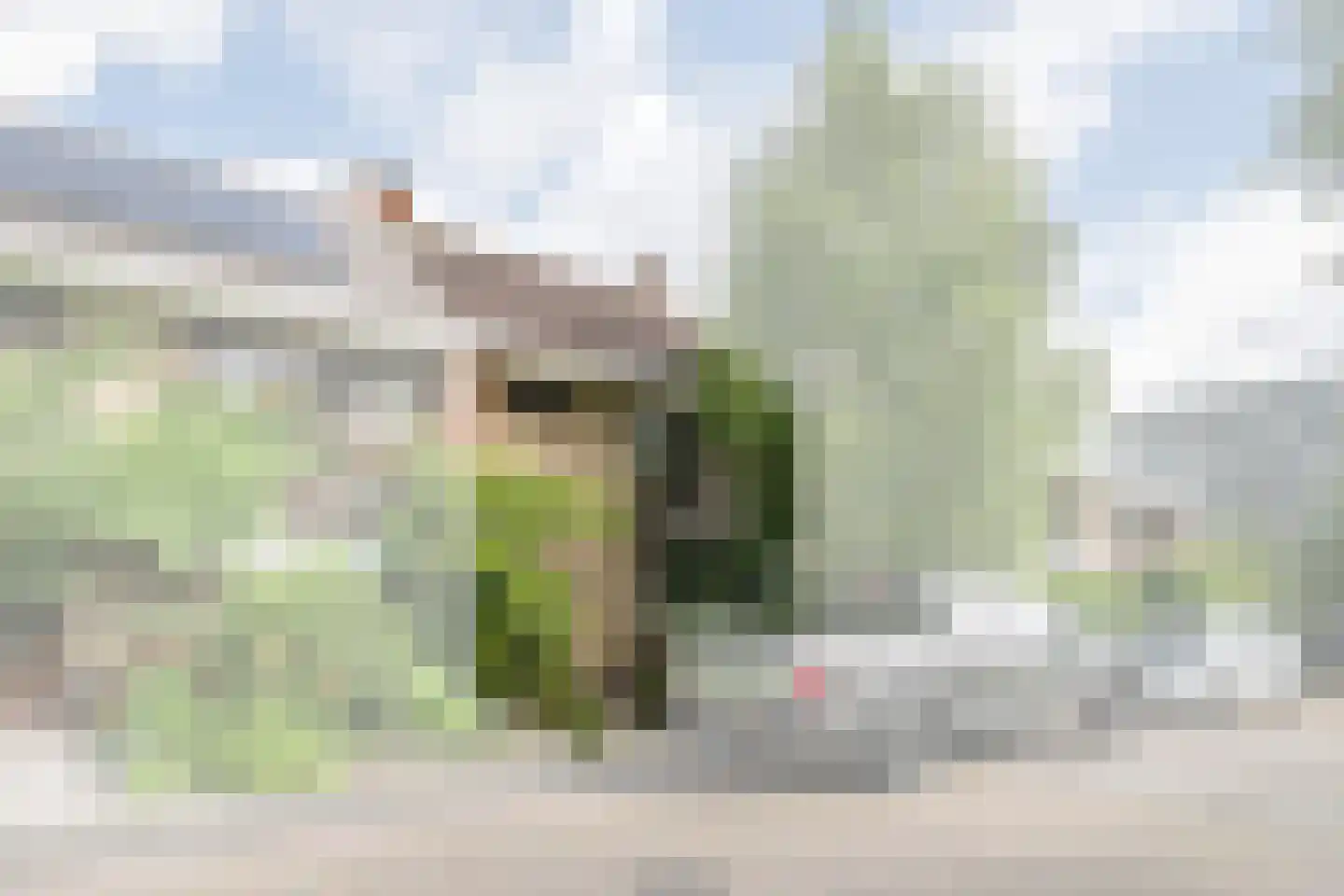 Wilgendal 59 Maassluis thumbnail 5