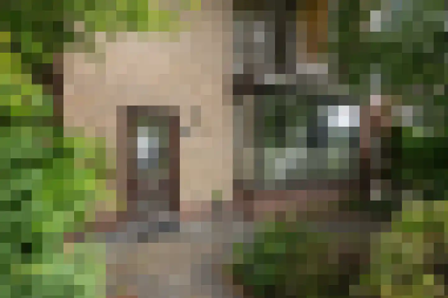 Wilgendal 59 Maassluis thumbnail 6