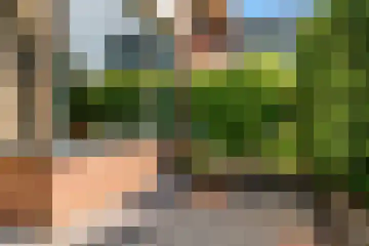 Wilgendal 63 Maassluis thumbnail 10