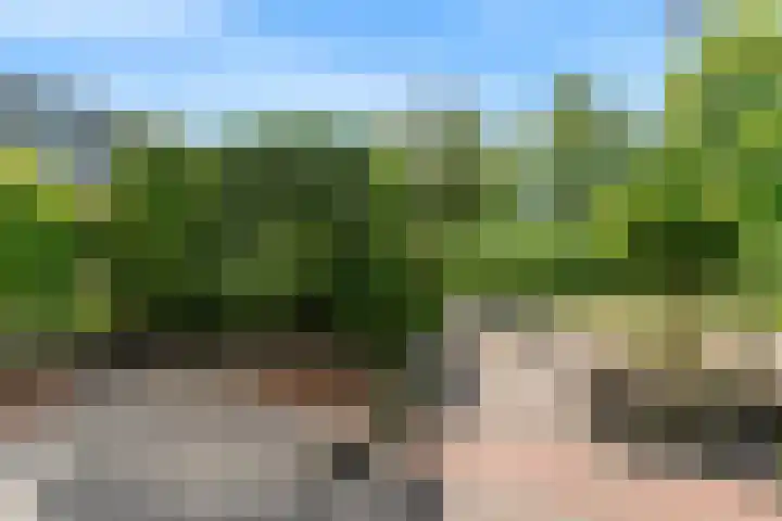 Wilgendal 63 Maassluis thumbnail 11