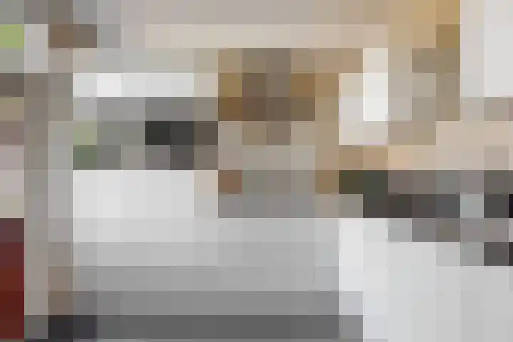 Wilgendal 63 Maassluis thumbnail 21